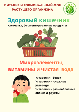 Питание и гормональный фон растущего организма - 4